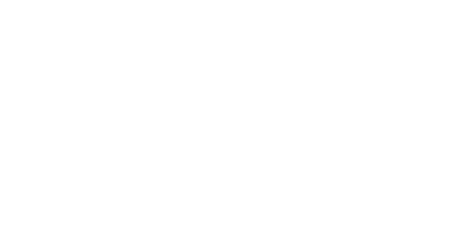 Ansilas Logo